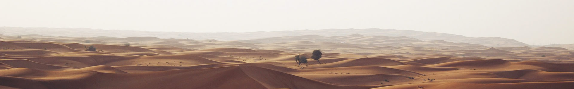 ɽع޹˾